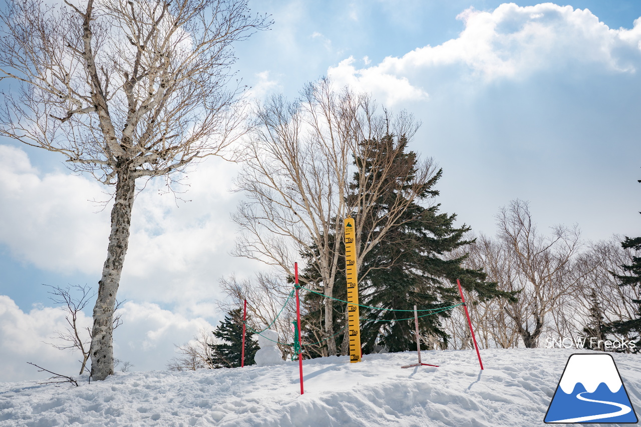 札幌国際スキー場｜さすが『KOKUSAI』！春シーズンも安泰の豊富な積雪で、まだまだ余裕で全面滑走可能です(^^)v